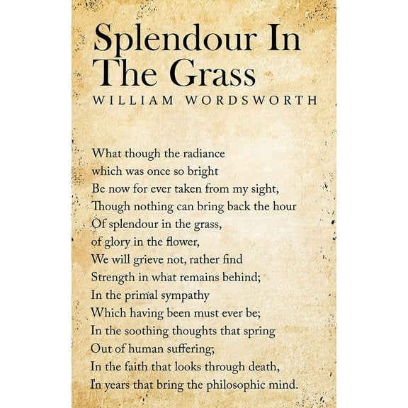 Splendor in The Grass Poem Wall Art  for Bathroom Modern Home Decoration  for Bedroom Decorative Posters