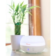 Crane Personal Ultrasonic Cool Mist Tabletop Humidifier 0.2-Gallon For Rooms 160 sq. ft. White