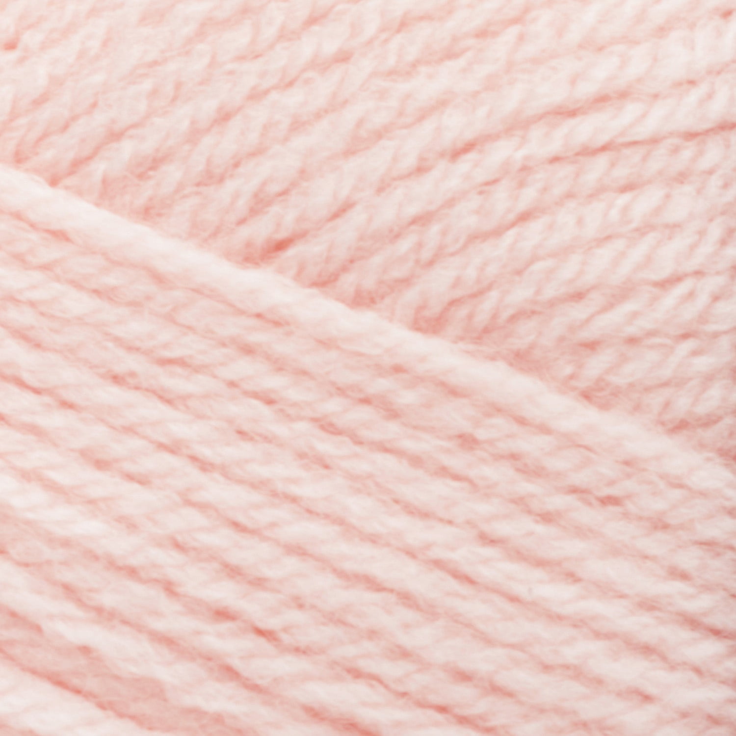 1142|12 Cameo Rose