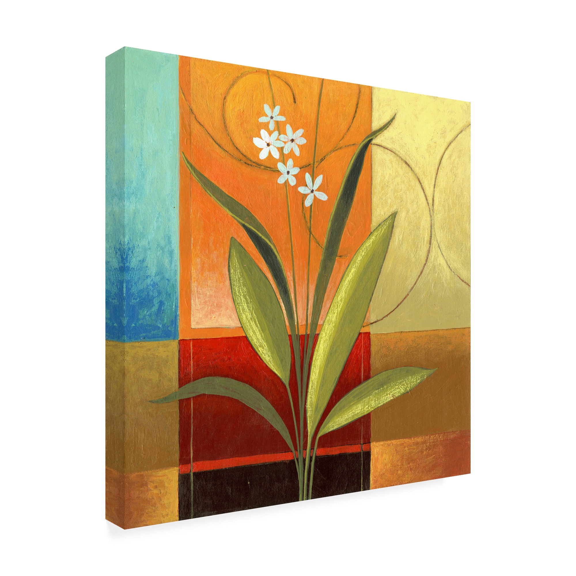 Trademark Fine Art 'Wide Palm On Patches' Canvas Art by Pablo Esteban