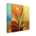 thumbnail image 2 of Trademark Fine Art 'Wide Palm On Patches' Canvas Art by Pablo Esteban, 2 of 3
