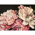 thumbnail image 2 of Debs, Emma Catherine 18x15 Black Ornate Wood Framed with Double Matting Museum Art Print Titled - Pink Peonies, 2 of 4