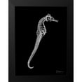 thumbnail image 2 of Koetsier, Albert 19x24 Black Modern Framed Museum Art Print Titled - Seahorse In The Black, 2 of 5
