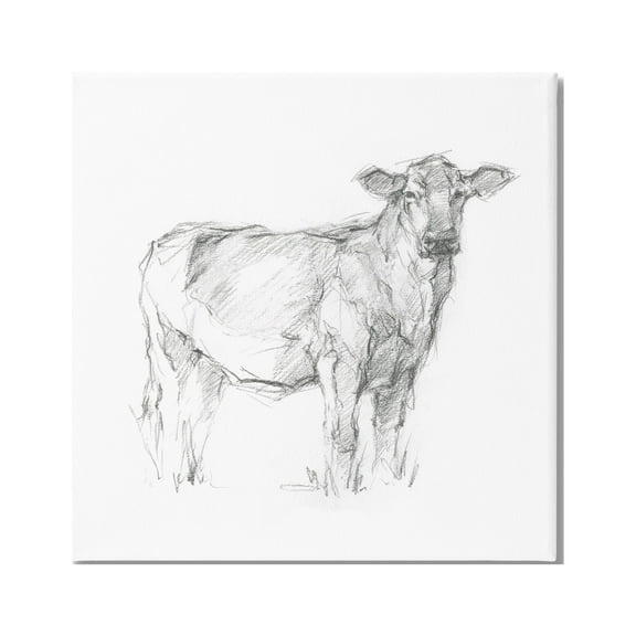Stupell Industries Minimal Cattle Sketch Animals & Insects Drawing Gallery Wrapped Canvas Print Wall Art, 17 x 17