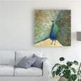 thumbnail image 3 of Trademark Fine Art 'Blue Peacock Cream' Canvas Art by Danhui Nai, 3 of 3