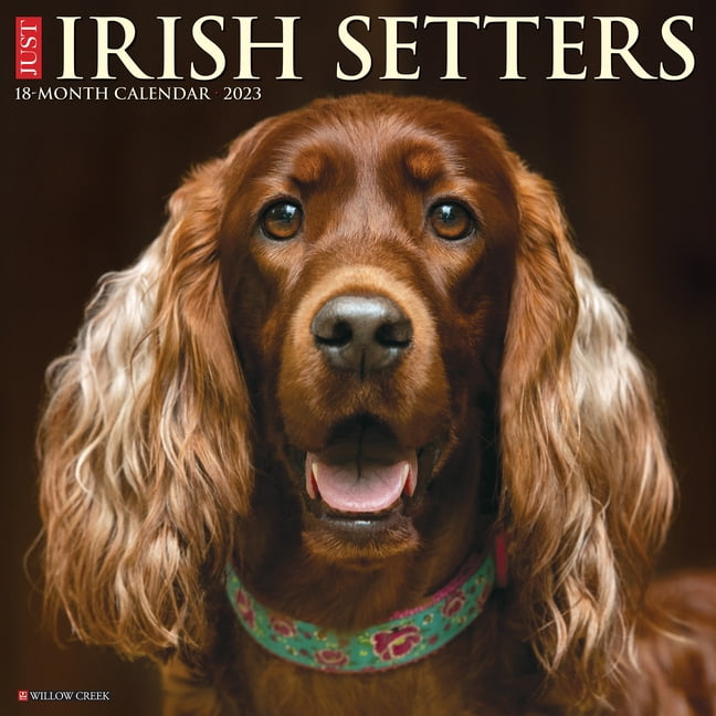 Avonside Irish Setter Calendar 2025