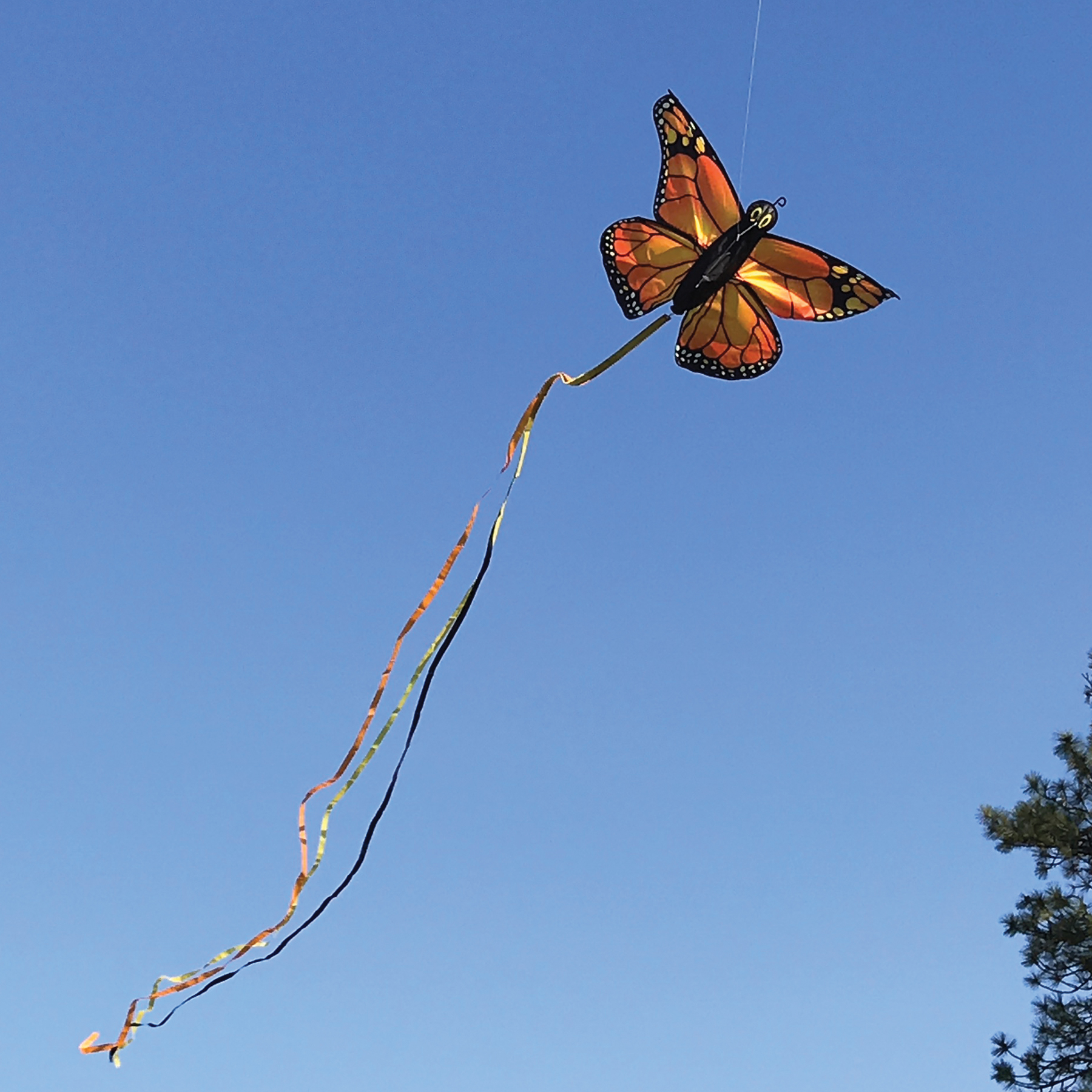 In the Breeze 3289 — 49" Monarch Butterfly Kite - Fun, Easy Flying Kite for All Ages