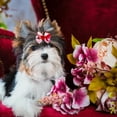 thumbnail image 3 of Yirtree Dog Bows 10 Pcs Metal Clips Puppy Yorkie Small Dog Bowknot Hair Bows/Handmade Cute Patterns Topknot Bows for Pet Grooming Hair Accessories, 3 of 8
