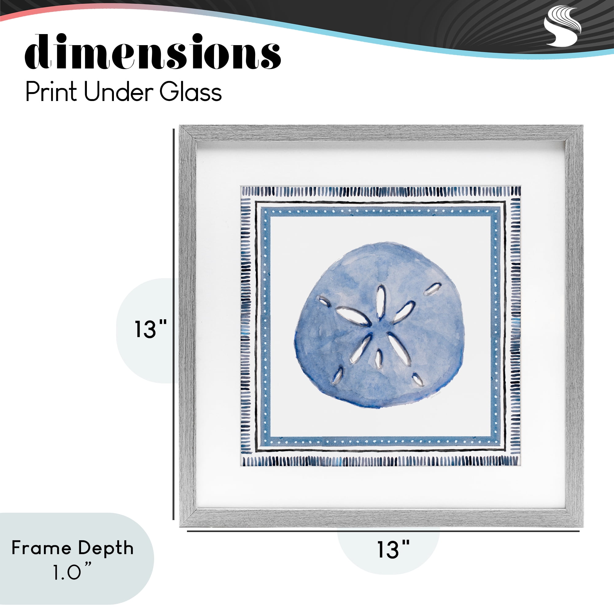 Stupell Industries Blue Bordered Sand Dollar Gray Framed Print Under Glass, design by Lanie Loreth