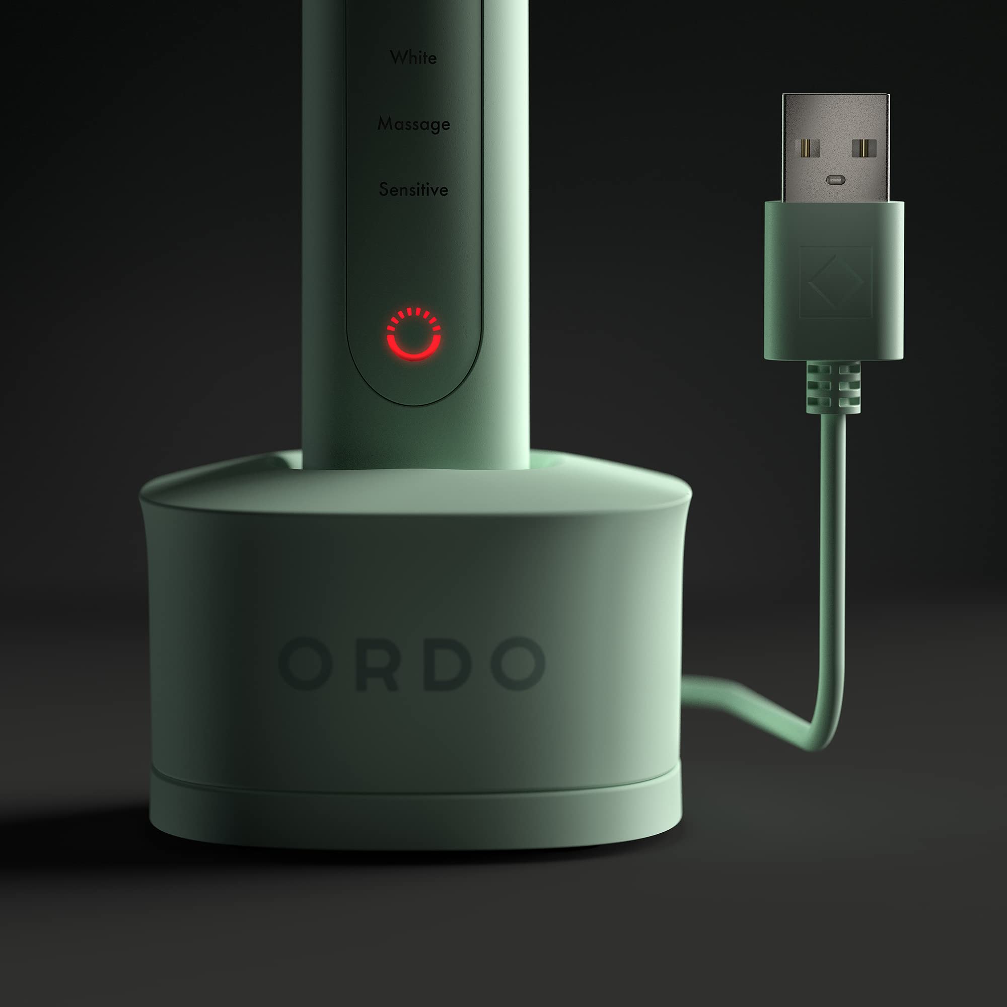 Ordo Sonic Electric Toothbrush Advanced Smart Tech with 4 Brushing Modes Fast Rechargeable Battery and Silicone-Polishing Element USB Charger for Adults Mint Green