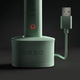 thumbnail image 4 of Ordo Sonic Electric Toothbrush Advanced Smart Tech with 4 Brushing Modes Fast Rechargeable Battery and Silicone-Polishing Element USB Charger for Adults Mint Green, 4 of 5