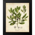 thumbnail image 2 of Torrey, John 20x24 Black Modern Framed Museum Art Print Titled - Ink-berry Tree Foliage, 2 of 5