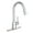Chrome, variant on Moen Adler Chrome Single Hole One-Handle Pull Down Kitchen Faucet, 87233