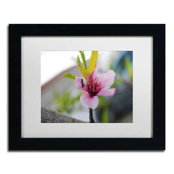 Trademark Fine Art "Expressive Individuality" Canvas Art by Monica Mize, White Matte, Black Frame