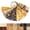 Amberwood Manor, variant on Soimoi Jelly Roll Fabric Strips for Quilting, Precut Fabric for DIY, 40 Strip Assorted Bundle, Jelly Roll For Scrapbooking, Perfect Quilting Fabric for Sewing, Craft, Home Decor