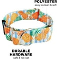 thumbnail image 4 of GFDYREE - Martingale Collar for Dogs - Dog Training Collar - Big, Wide & Thick Dog Collar - Escape-Proof, Weatherproof, Durable and Comfortable - Pineapple - Small Dog Collar, 4 of 6
