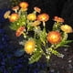 thumbnail image 5 of Billuyoard 2 luces solares de flores para exteriores, un hermoso adorno para el césped con flores solares. Decoración del hogar A, 5 of 6
