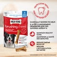 thumbnail image 3 of Milk-Bone Brushing Chews Dental Dog Treats for Medium Dogs, 3 of 9