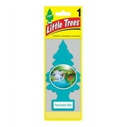 Little Trees Rainforest Mist Scent Air Freshener (Pack of 24)