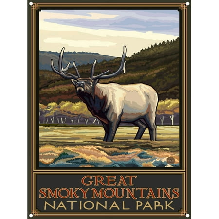 Great Smoky Mountains National Park Whistling Elk Low Hills Metal Art Print by Paul A. Lanquist (9