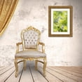 thumbnail image 3 of Stalus, Judy 13x18 Gold Ornate Wood Framed with Double Matting Museum Art Print Titled - Meadow, 3 of 4