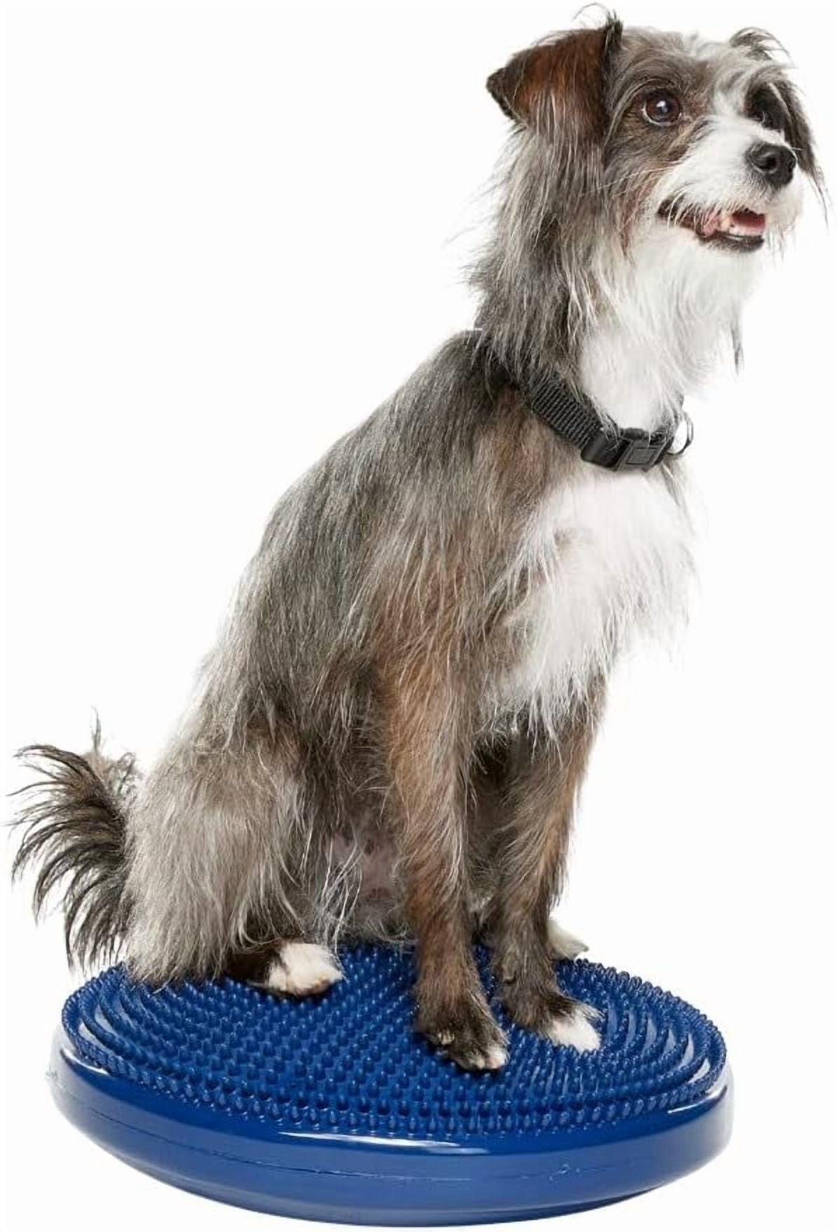 FitPAWS® K9FITbone® - Mini (Set of 2) | Dog Balance Training