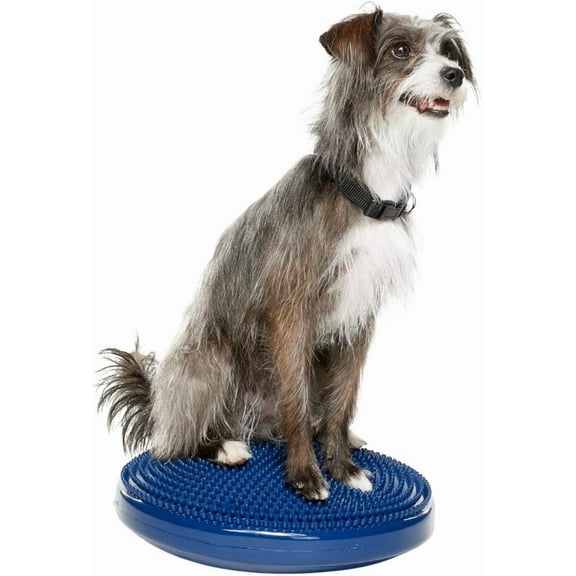 FitPAWS® Dog Balance Disc - Blue, 14" | Dog Exercise Equipment | Workout Tool for Strength, Core, Stability & Rehabilitation