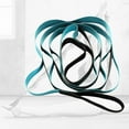 thumbnail image 3 of LOVIVER - 12 Loops & Non-Elastic Band - The Perfect Home Workout Stretching Strap, Yoga, Blue, 3 of 8