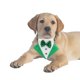 thumbnail image 3 of Collar de bandana para perro San Patricio con pajarita perfecl Bufanda triangular irlandesa Verde M, 3 of 8