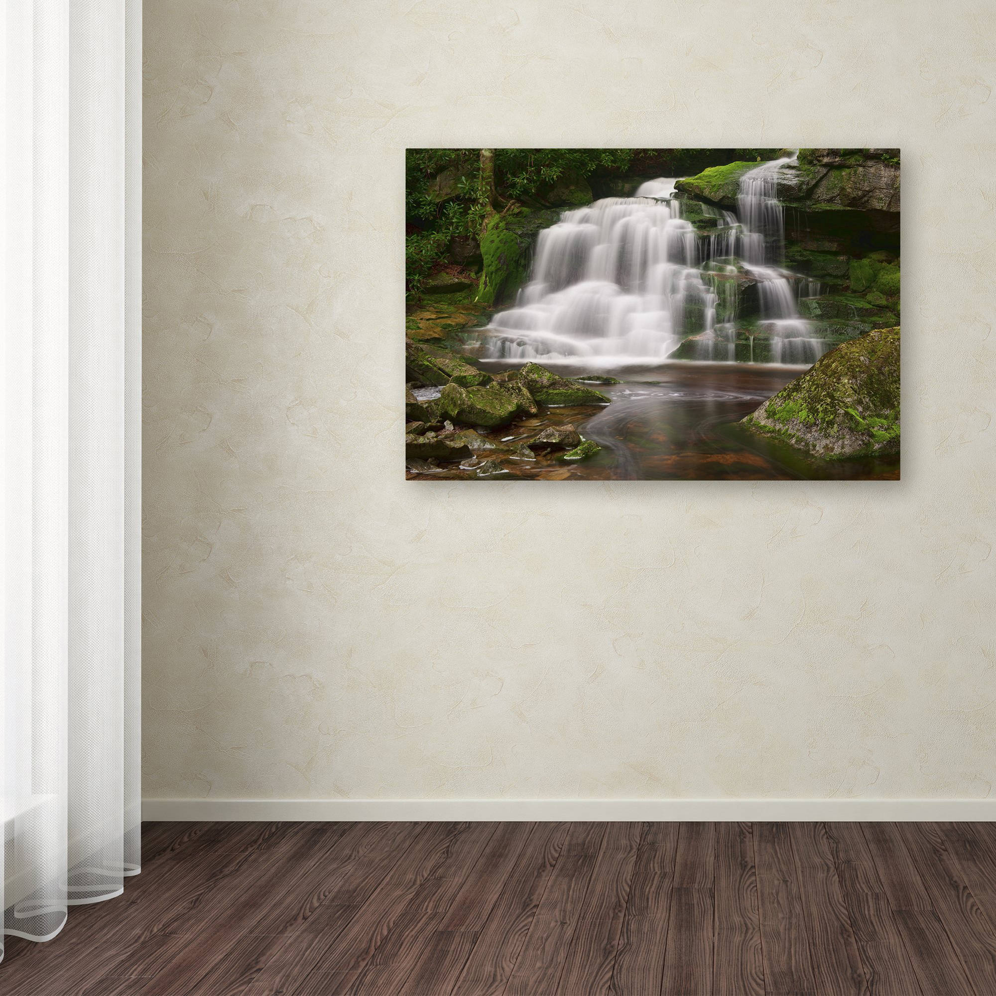 Trademark Fine Art 'Elakala Falls' Canvas Art by Michael Blanchette Photography