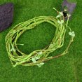 thumbnail image 5 of Lizard Terrarium Climbing Accessories Assorted Color 2Pcs 59x0.5In, 5 of 5