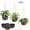 Black, variant on Diigabo 3-Pack 8-inch Self-Watering Hanging Planters with Macrame Hanger Indoor Plastic Plant Pots with Drainage Hole&Saucers Flower Baskets for Outdoor Garden Home Ceiling Decor(Green)