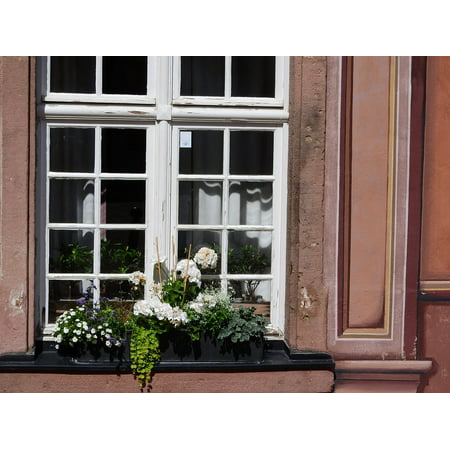 Canvas Print Flowers On The Window Box with Flowers Window Stretched Canvas 32 x