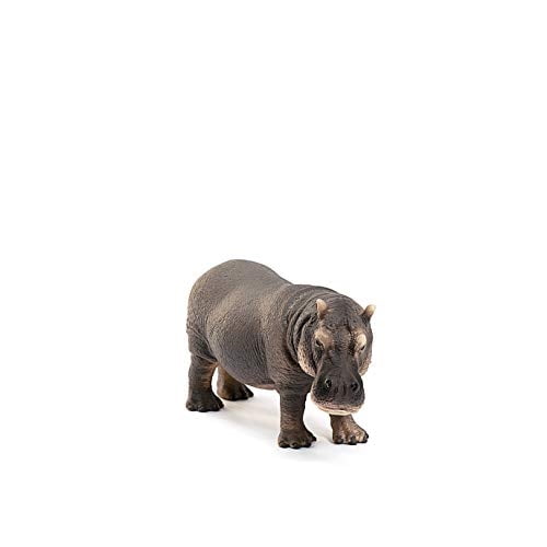 Schleich Wild Life, Animal Figurine, Animal Toys para niños y niñas de 3 a 8 años, Hippopo Schleich Schleich