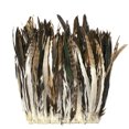 thumbnail image 1 of Zucker Feather Products Rooster Coque Tails Feathers Chinchilla - 15-18" - Natural, 1 of 2