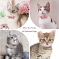 thumbnail image 5 of 2-Pack Rhinestone Cat Collar Soft Suede Glitter Diamond Jewelry Crystal Girl Puppy Collar with Bow for XXS XS Small Medium Female Dogs & Kitten, 5 of 5