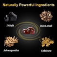 thumbnail image 2 of Balincer Pure Himalayan Shilajit Herbal Gold Gummies, for Energy & Vitality, 3000 mg, 80 Count, 2 of 7