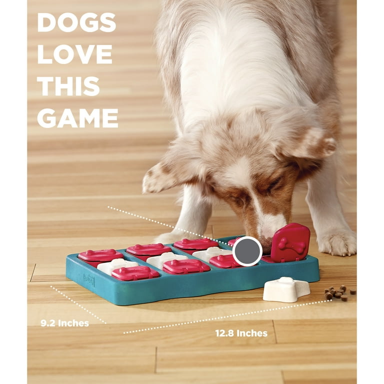 Nina Ottosson by Outward Hound Dog Brick Interactive Dog Puzzle