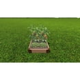 thumbnail image 2 of TOOL-FREE CLASSIC SIENNA 2' X 2' X 5.5" RAISED GARDEN BED - 1" PROFILE, 2 of 4
