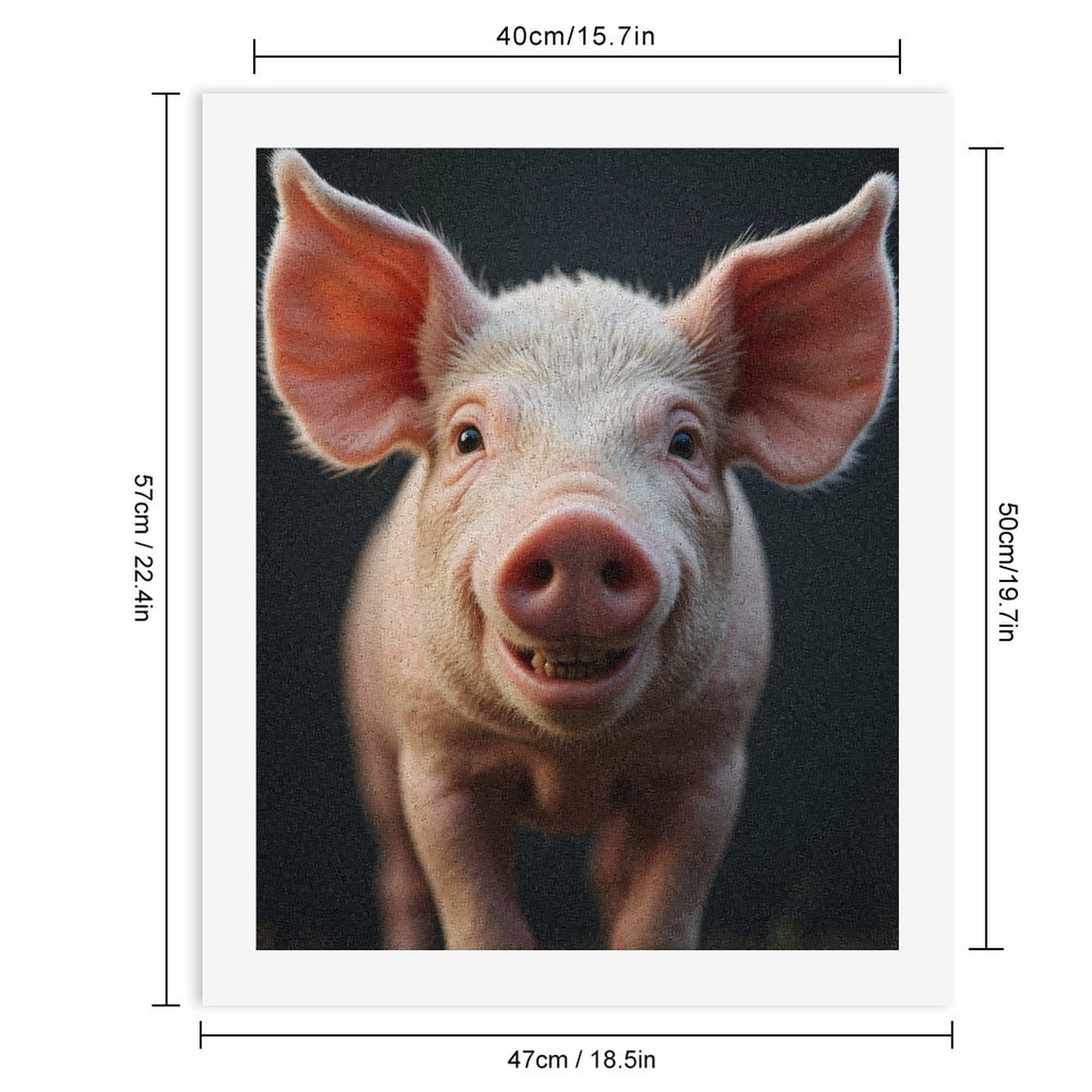 Paint by Numbers Kit for Adults, Smiling Pig Close Up Portrait Paint by Numbers, Easy Paint by Numbers Kit for Adults Beginner, DIY Adult Paint by Number Kits on Canvas, Home Decor