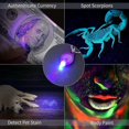 thumbnail image 4 of 10 Pieces Uv Light Mini Led Keychain Flashlight Torch Keyring Lights, 4 of 4