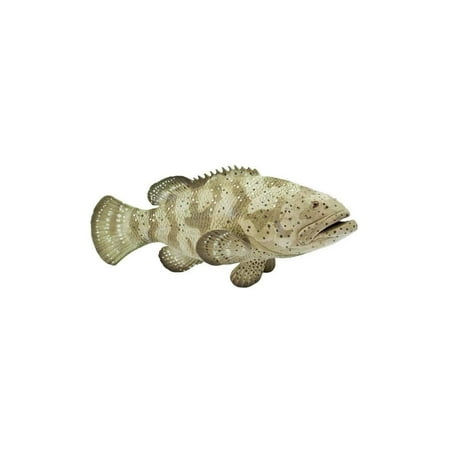 Safari Ltd. Goliath Grouper Figurine - Lifelike 5.75" Model Figure - Educational Toy for Boys, Girls, and Kids Ages 3+