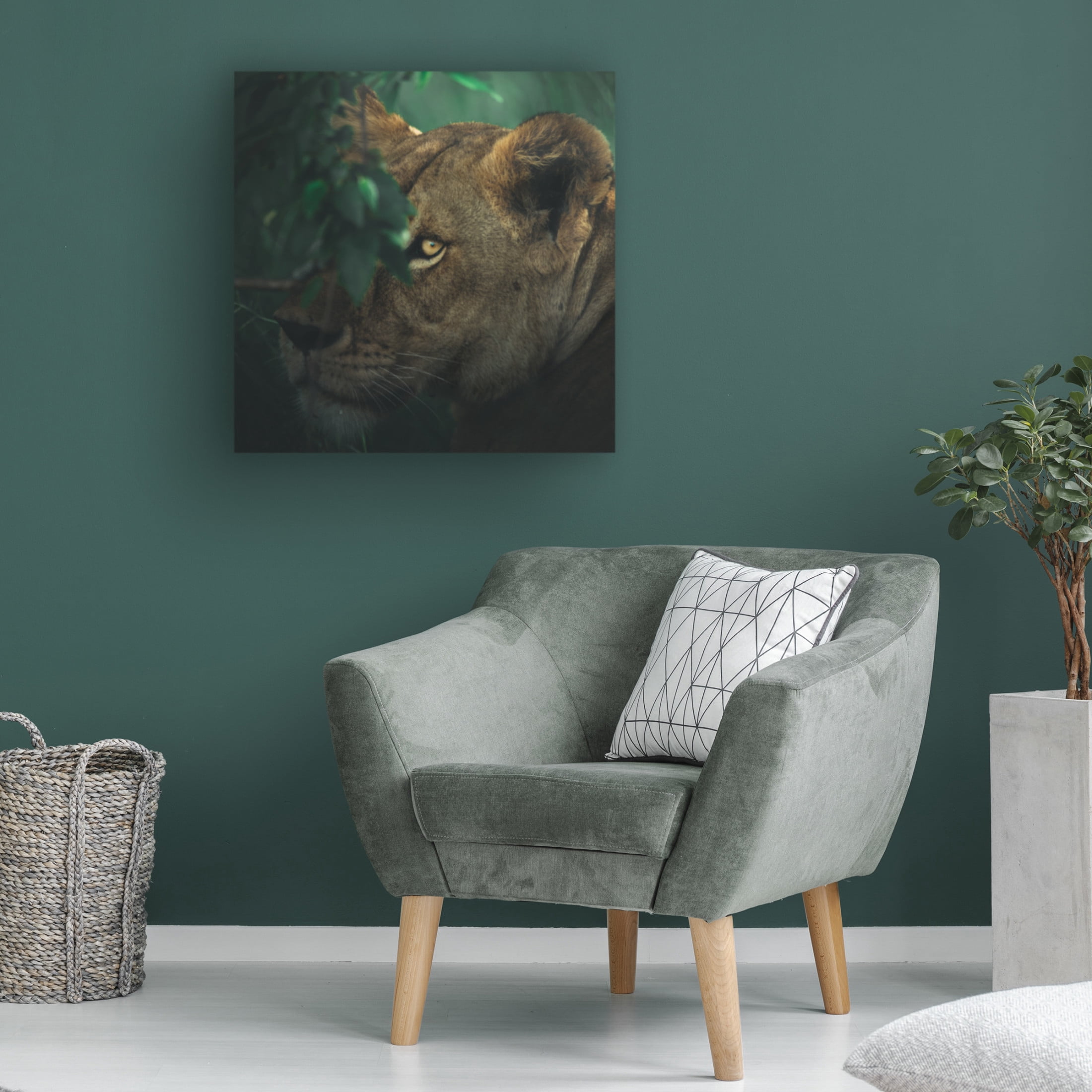 Trademark Fine Art Ahmed Sobhi  Eye Contact Canvas Wall Art