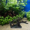 thumbnail image 4 of Fishtank Artificial Plant Landscape Fish Tanks Decorations for Aquariums Terrarium Shrimp Trunk Ornaments Habitat, 4 of 4