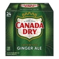 thumbnail image 6 of Canada Dry Caffeine Free Ginger Ale Soda Pop, 12 fl oz, 24 Pack Cans, 6 of 14