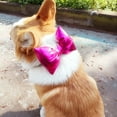 thumbnail image 4 of Lovely Bow Pet Collar - Party Dress Up Lightweight Neck Accessories for Cats and Dogs - Taking Photo, 4 of 8