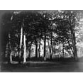 thumbnail image 2 of Le Gray, Gustave 14x12 Black Ornate Wood Framed with Double Matting Museum Art Print Titled - Fontainebleau, 1849 - Study of Trees and Pathways, 2 of 4
