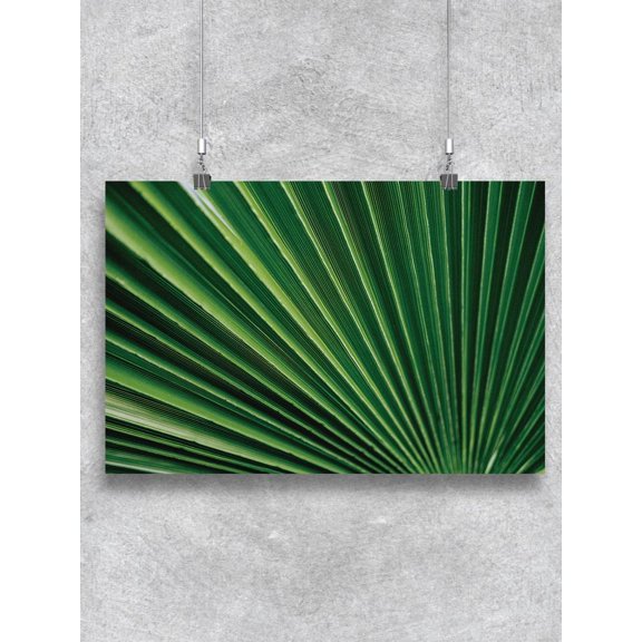 Palm Green Tropical Leaves   Poster -Image by Shutterstock