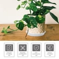 thumbnail image 3 of Shisuyan Garden Pot Saucer Flower Pot Plate Plastic Soil Containment 12Set, 3 of 8