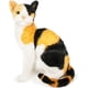 thumbnail image 1 of Catalina El Gato Calico 32cm Peluche Tiger Tale Toys viaplu1011, 1 of 6